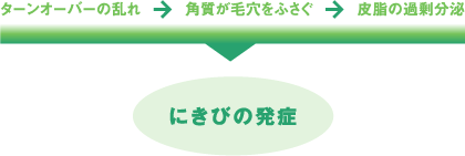 にきび発症までのメカニズム